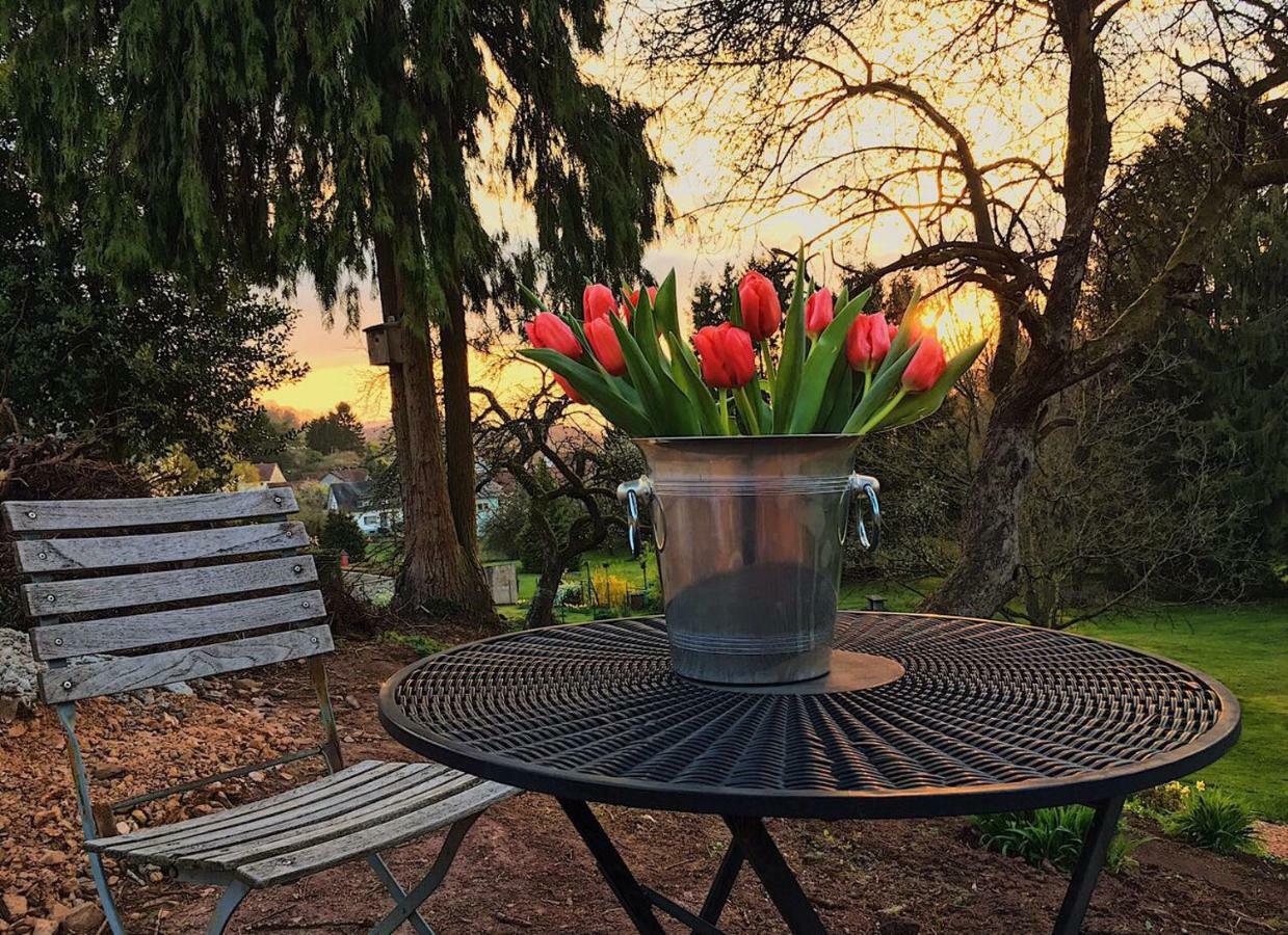 Haagalm Terrasse, Garten Nonnweiler Buitenkant foto