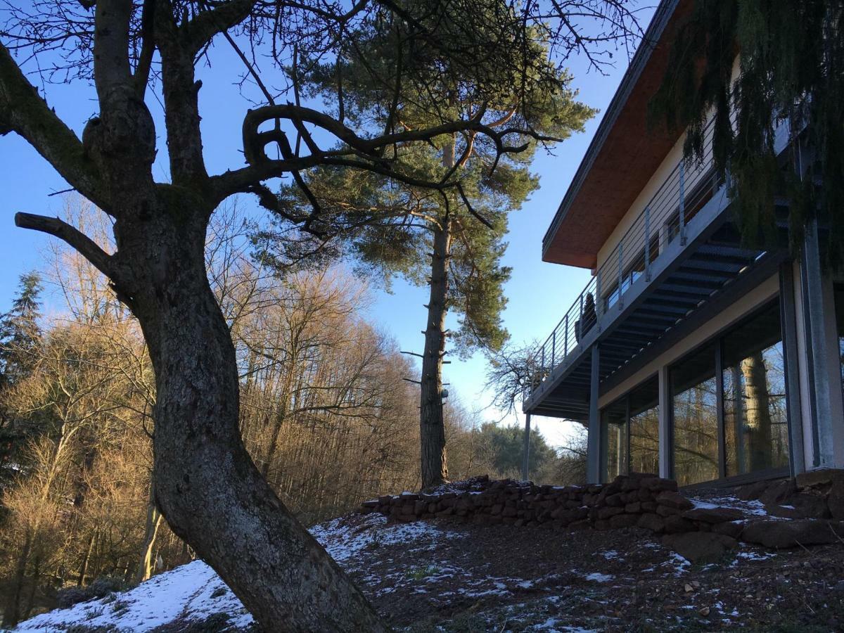 Haagalm Terrasse, Garten Nonnweiler Buitenkant foto