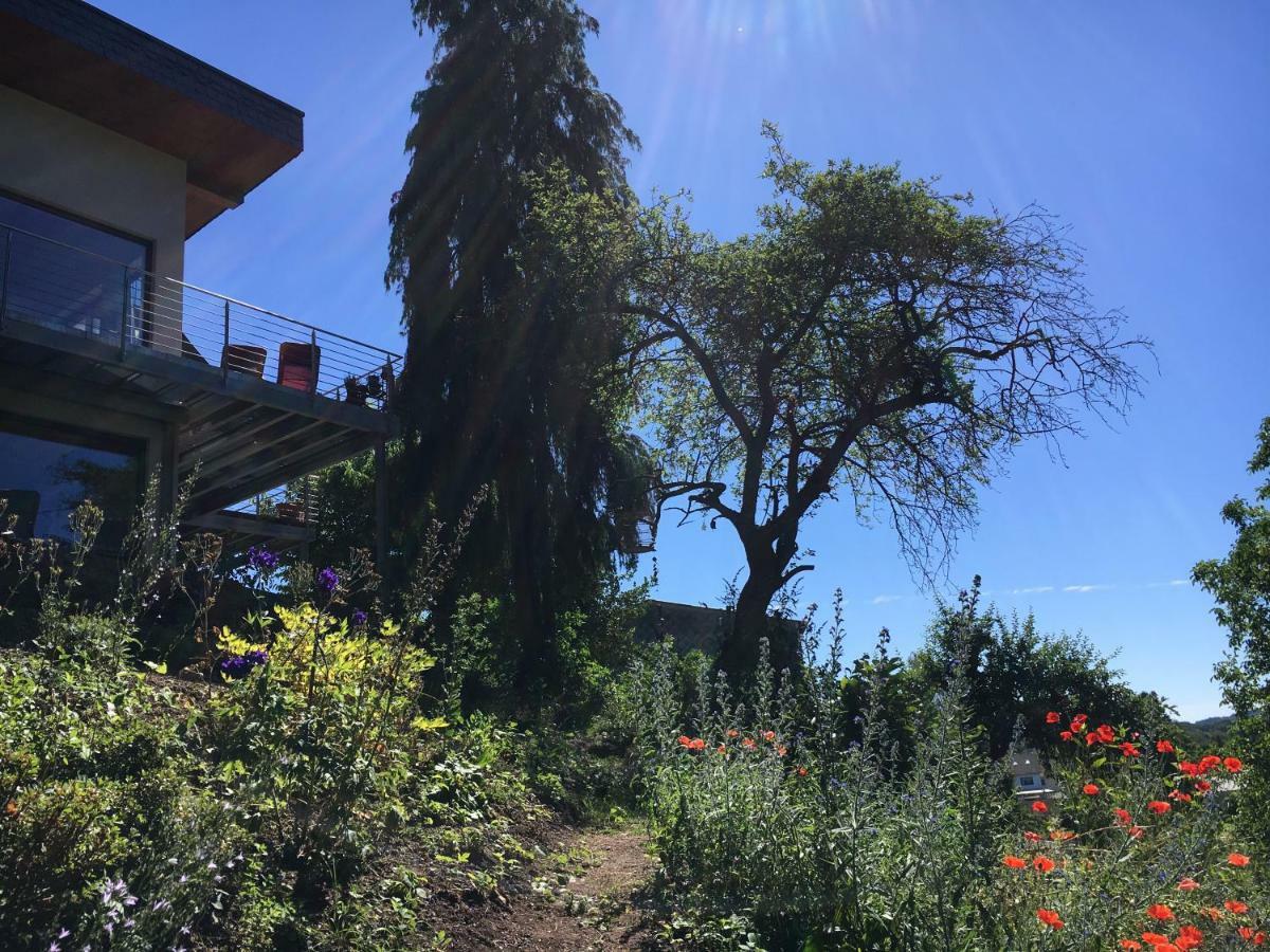 Haagalm Terrasse, Garten Nonnweiler Buitenkant foto