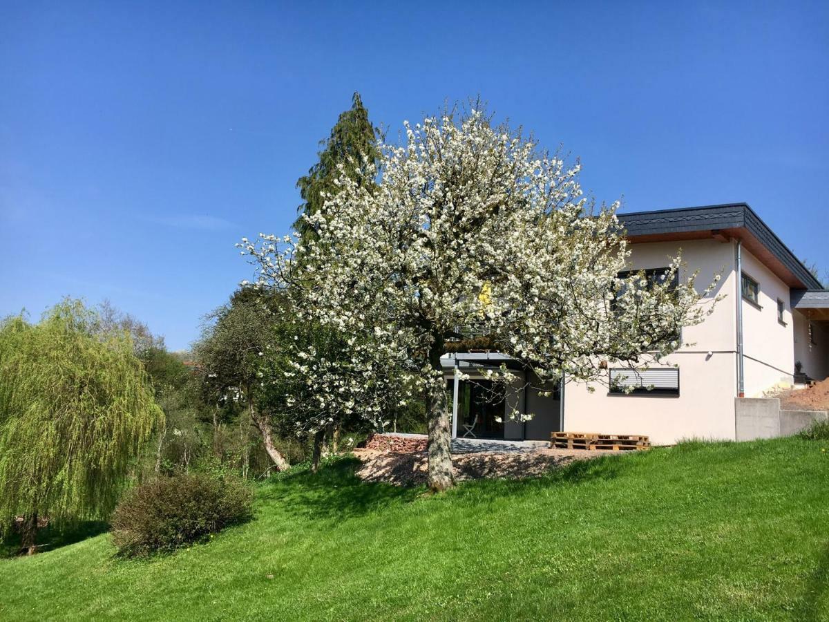 Haagalm Terrasse, Garten Nonnweiler Buitenkant foto