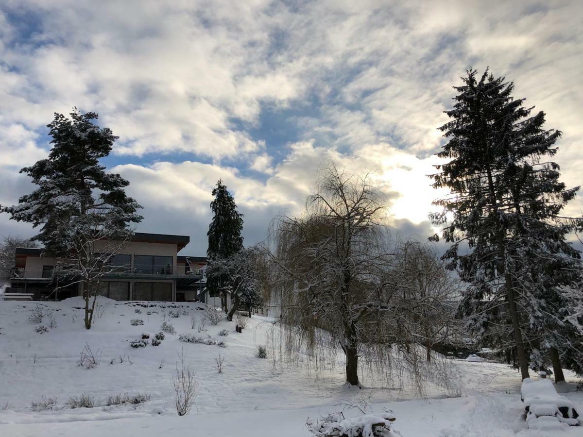 Haagalm Terrasse, Garten Nonnweiler Buitenkant foto